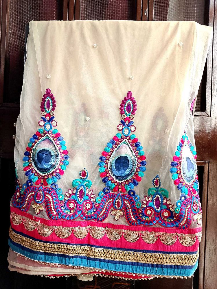 Readymade Net Embroidered Saree with 2 Blouses