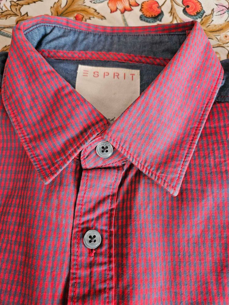 Original Branded Shirt For Boys