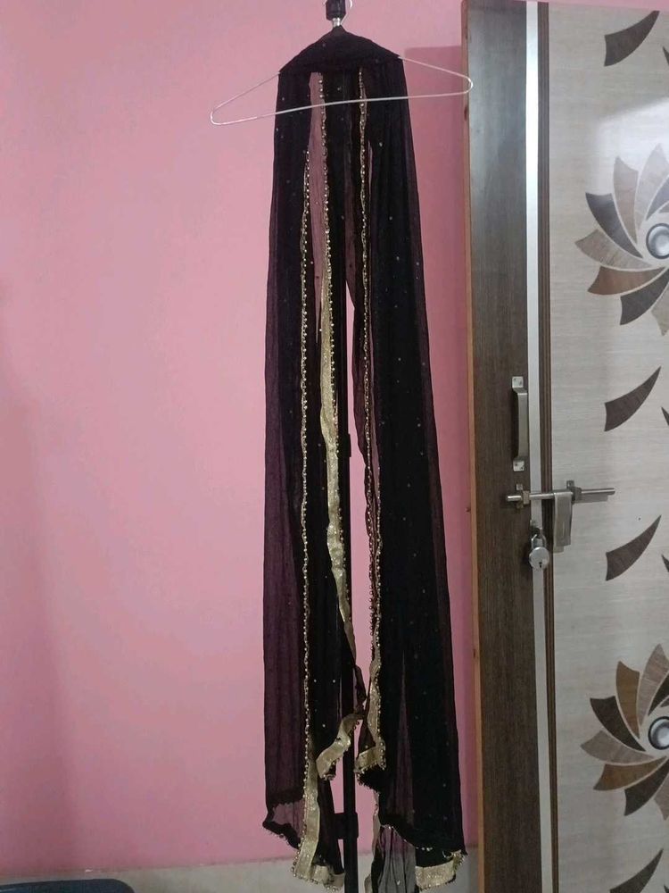 Elegant Black Dupatta with Gold Embellishments