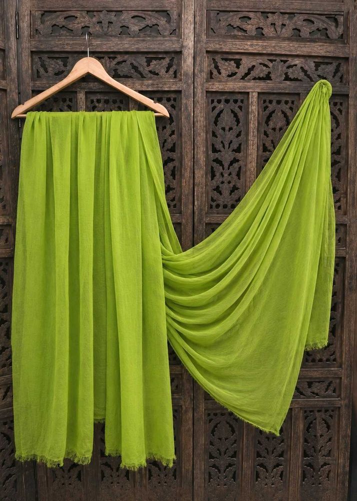 Beautiful Parrot Green Chiffon Duppata 💚