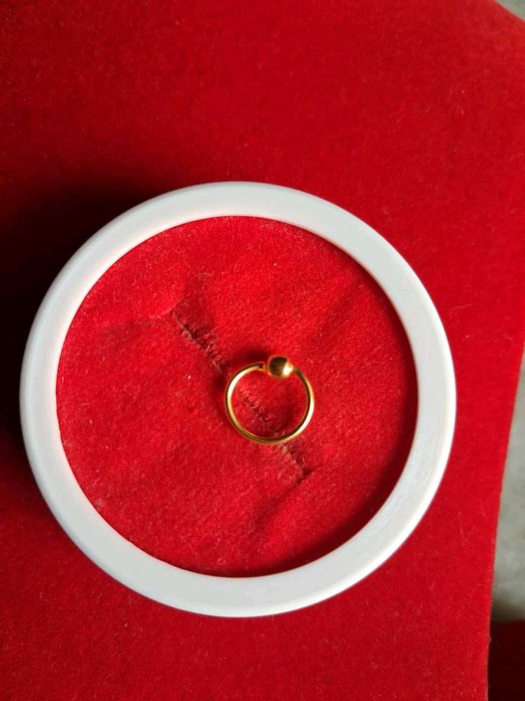 Gold Nose Ring
