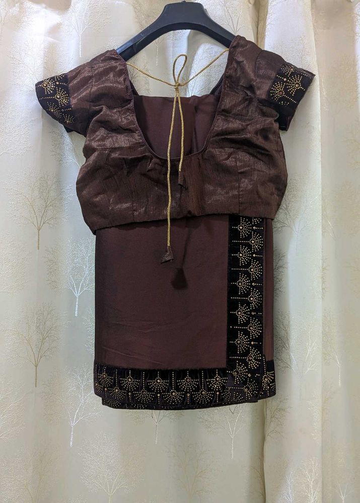 Elegant Brown Saree with Embellished Blouse