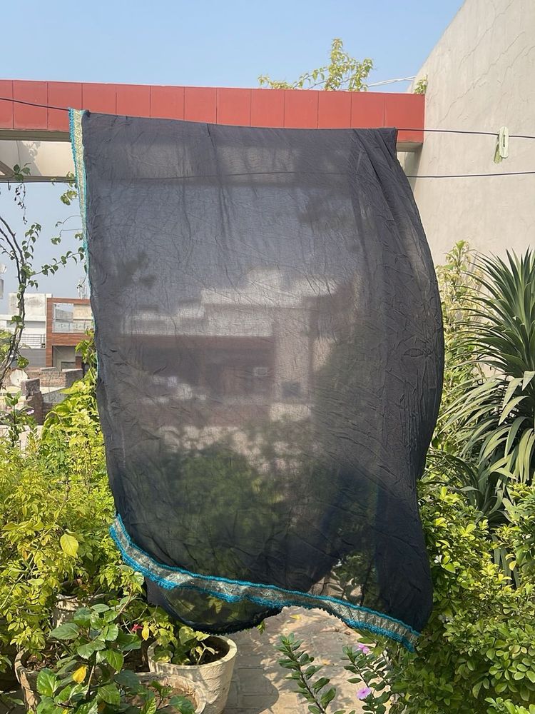 Elegant Black Saree with Blue Border