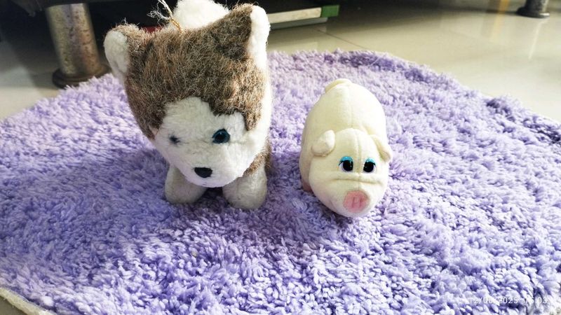 Stuffed Animal Duo: Husky &amp; Pig