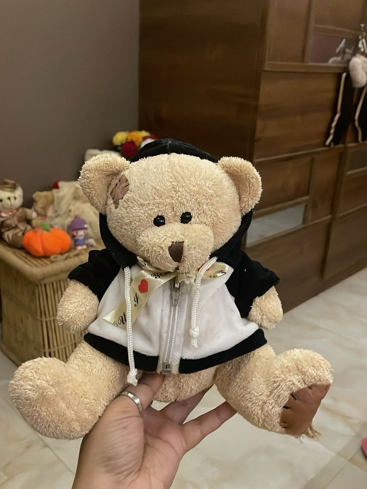 Cute Teddy Bear with Hoodie