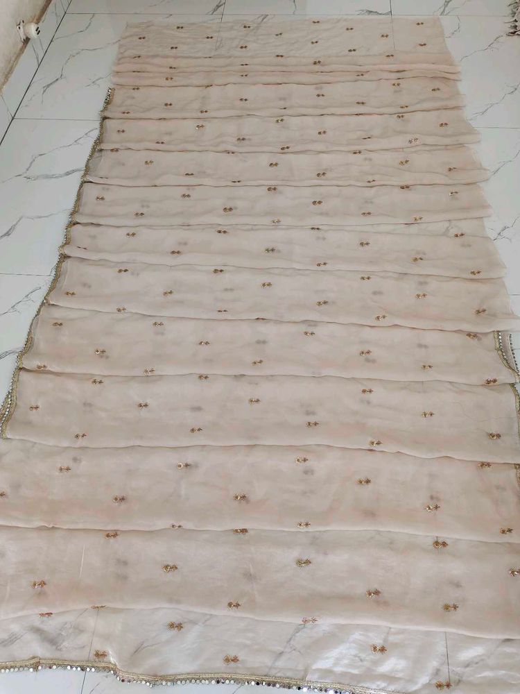 Elegant Peach saree with Golden Embellishments