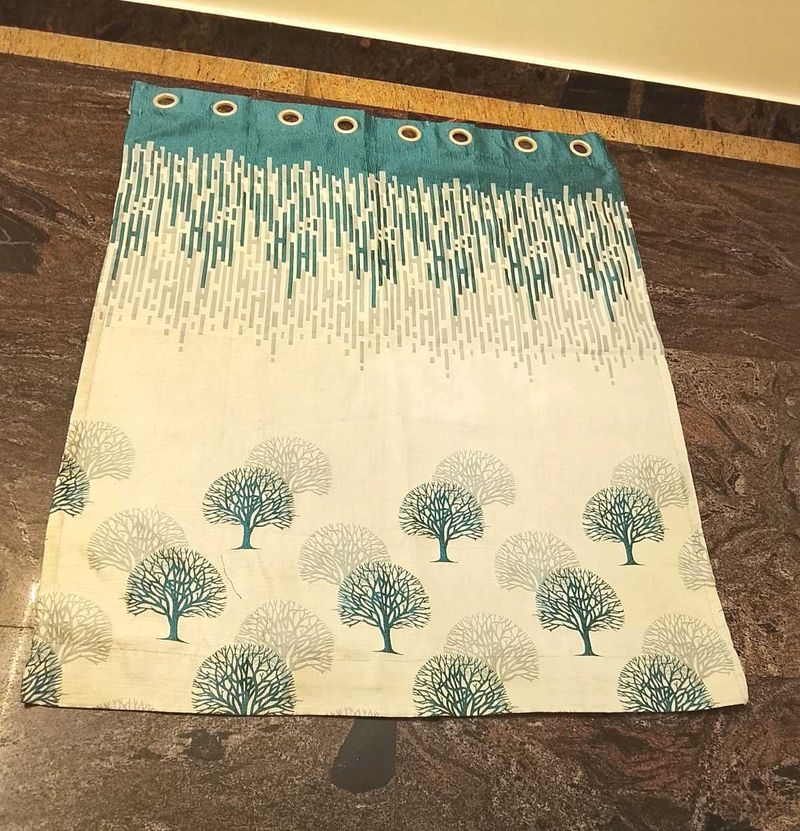 Window curtains