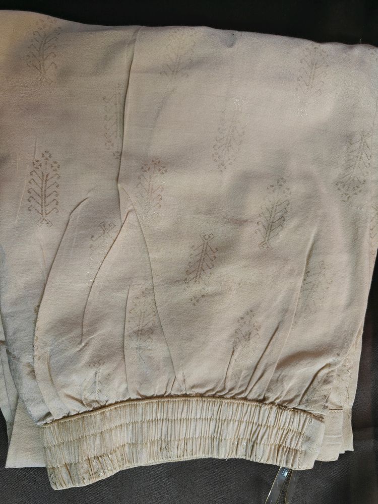 plazzo pant