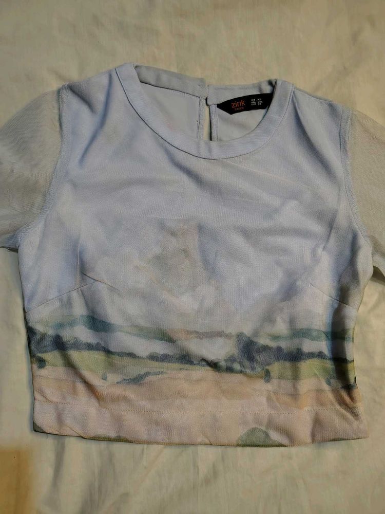 Unique Landscape Print Sheer Sleeve Top