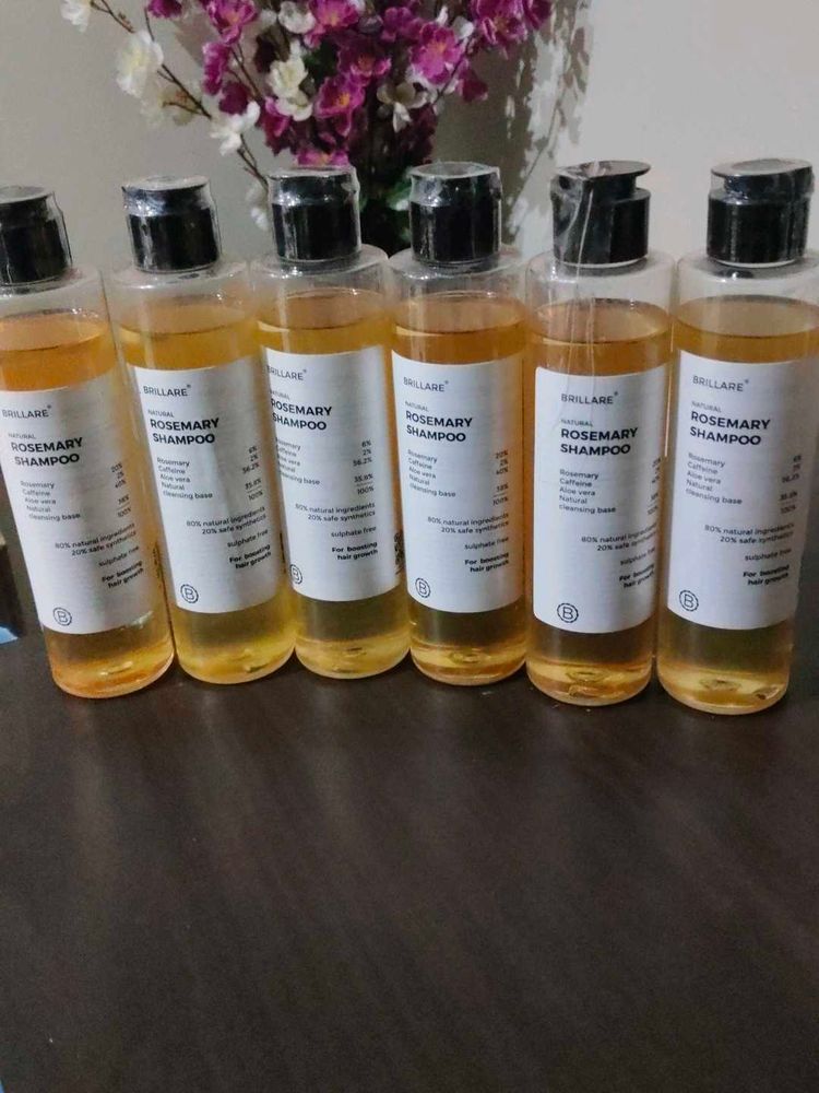 🌿 BRILLARE ROSEMARY SHAMPOO – WHOLESALE PACK 6Pc