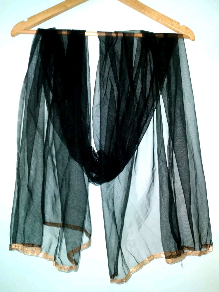 Black Net Dupatta with Gold Border
