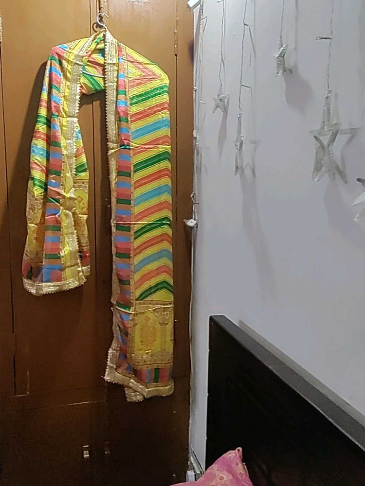 Vibrant Multicolored Dupatta