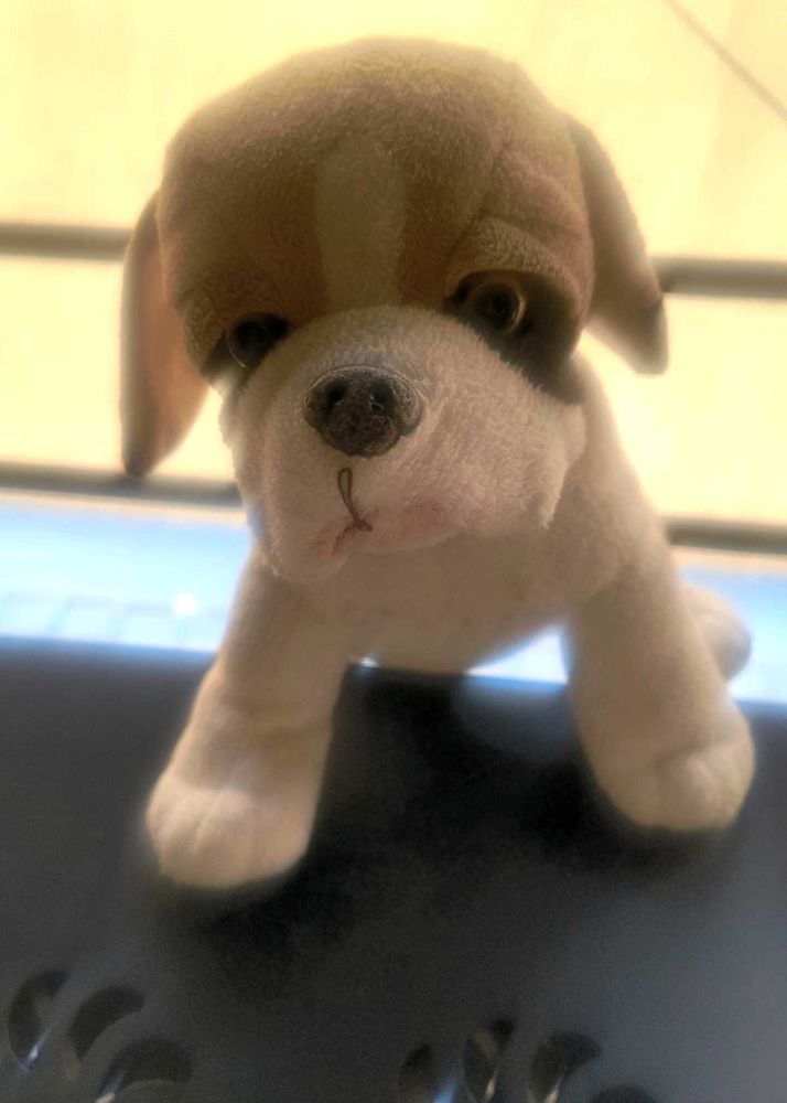 Adorable SoftToy Pug Dog Kutta for Sale! 🐾