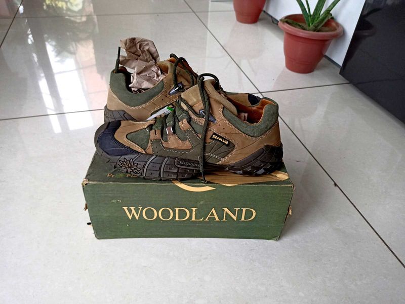 Woodland Brand Casual Boot Fixed Price