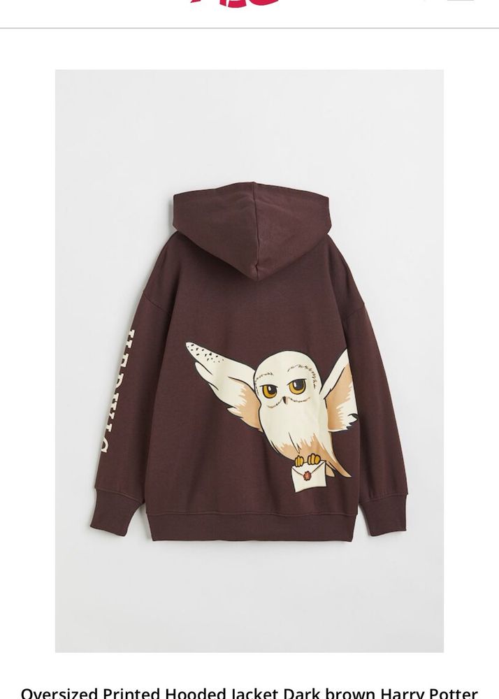 Harry Potter Owl Hoodie