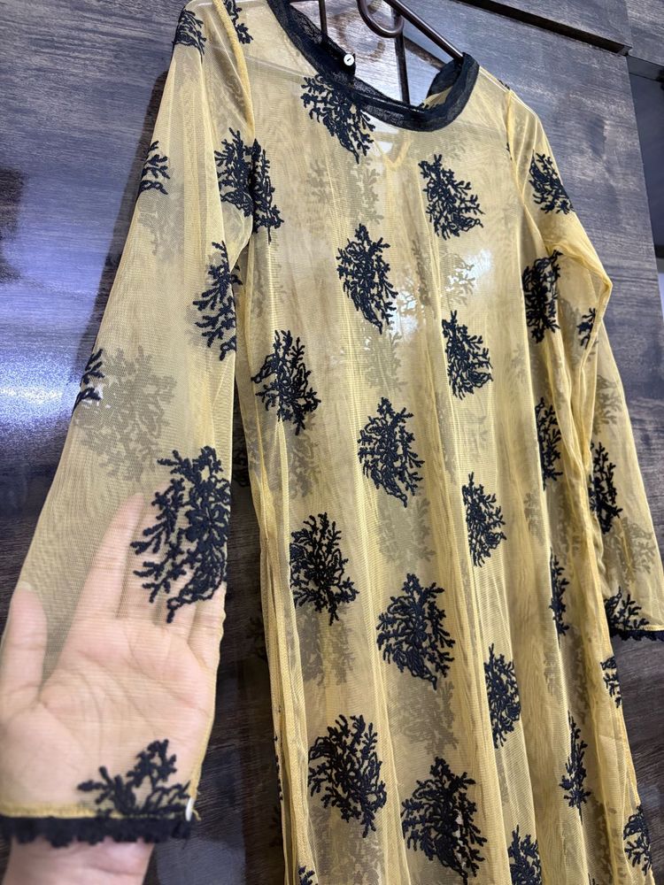 Elegant Sheer Embroidered Kurti
