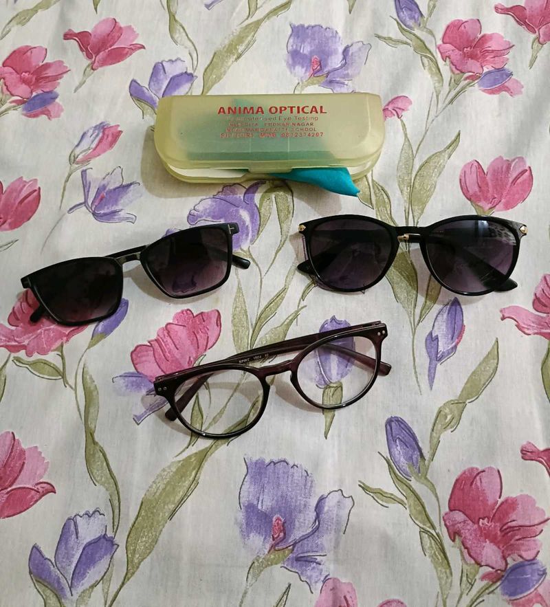 Eyeglasses and Sunglasses Bundle