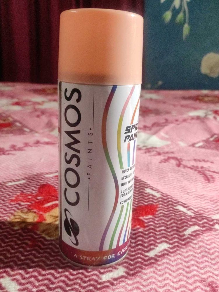 Spray Paint Bottle