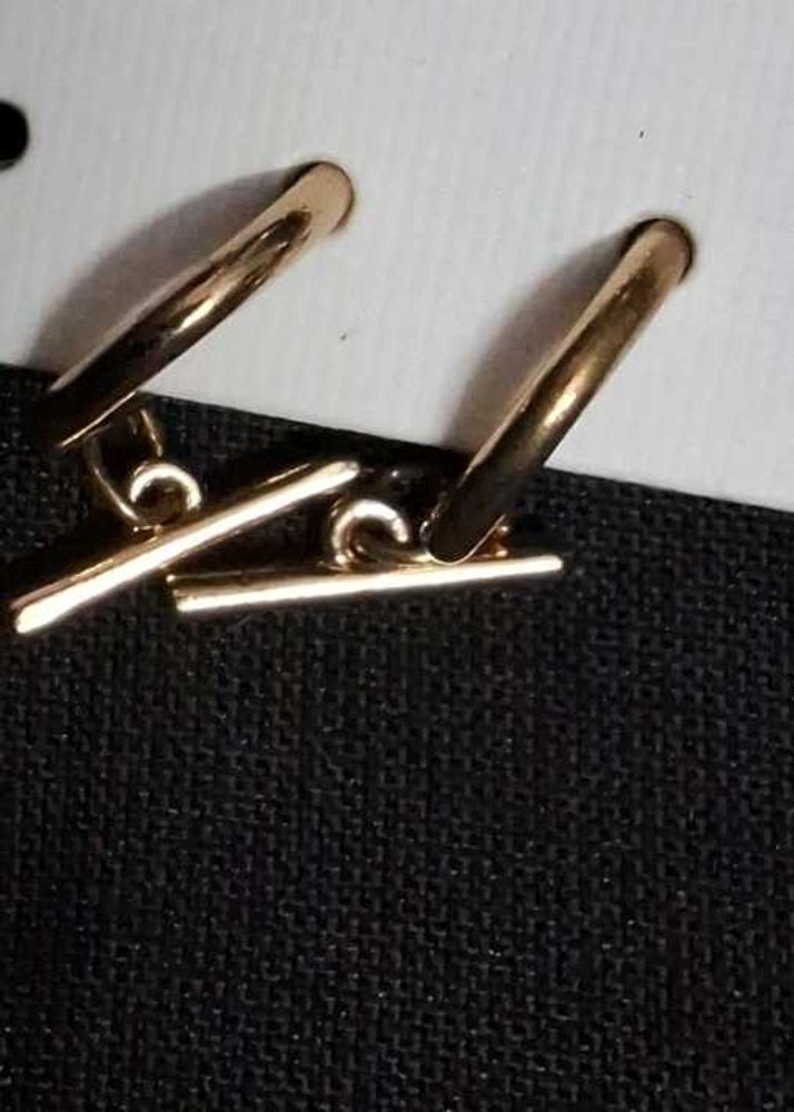 Westside Gold Tassel Hoop Earrings