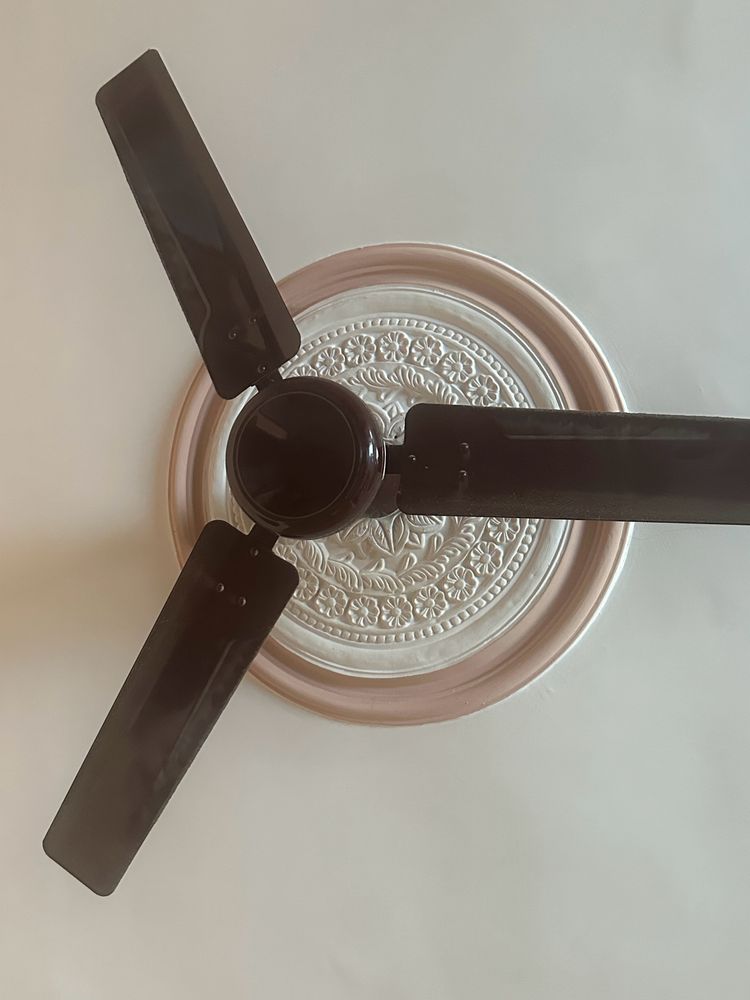 Havells And Orient Fan