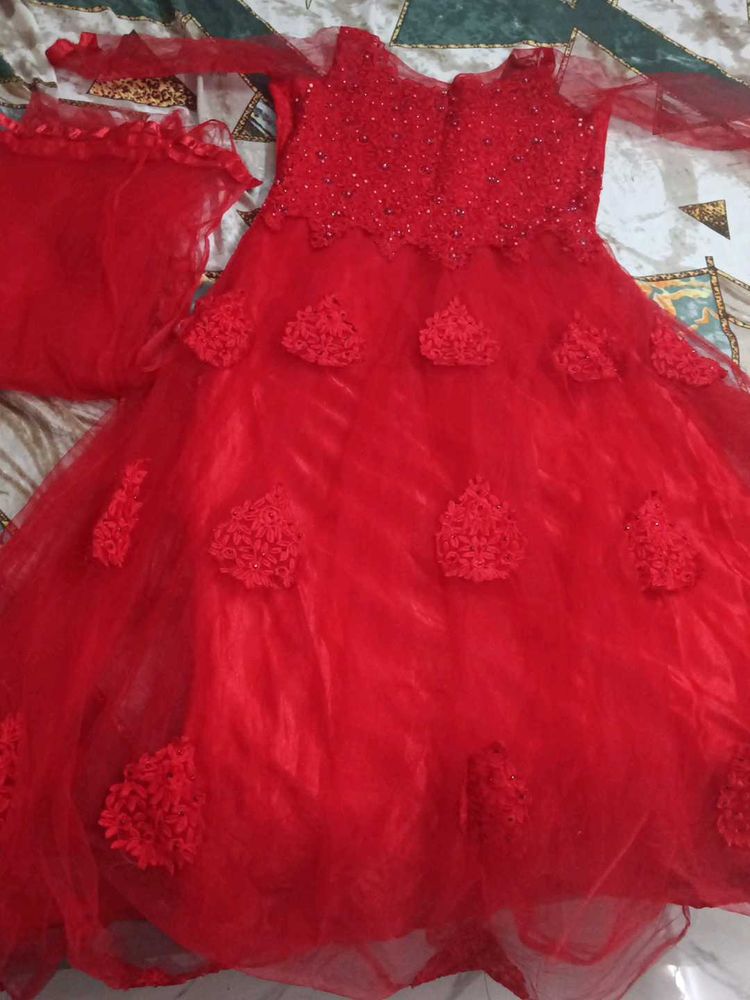 Beautiful Red Embellished Gowns