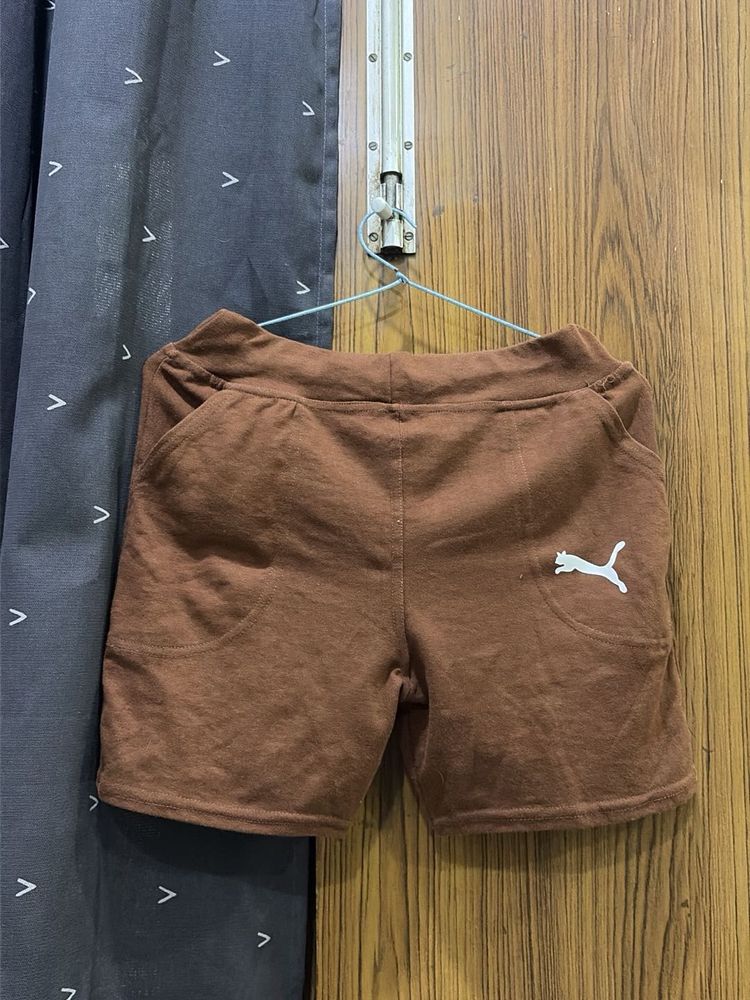 Puma Brown Shorts