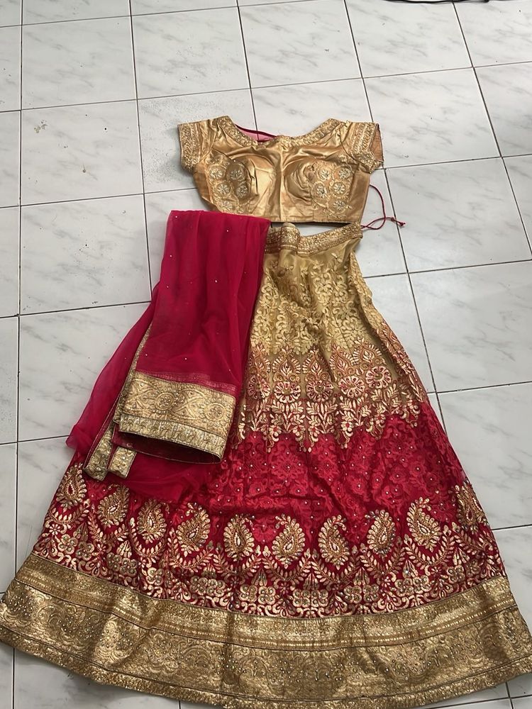 Stunning Red &amp; Gold Lehenga Choli Set