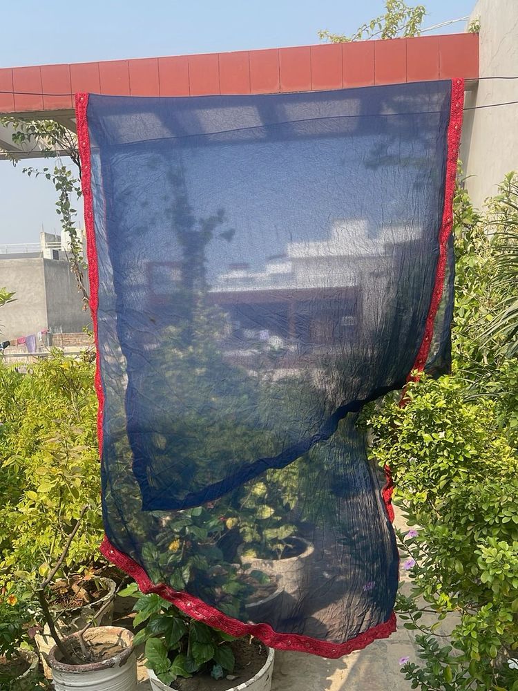 Elegant Navy Blue Dupatta with Red Border