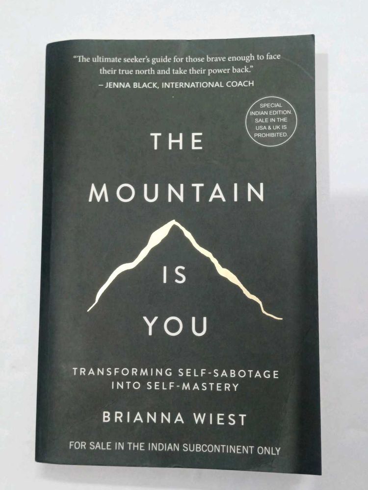 The Mountain is You Book