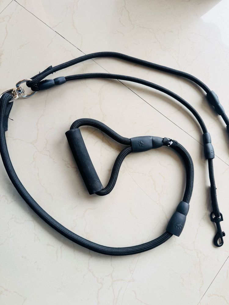 FINAL SALE🎉 Dual Leash