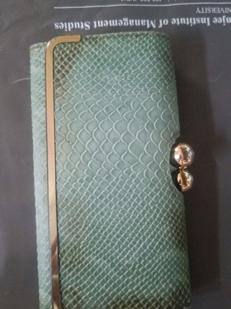 Vintage Reptile Print Clutch