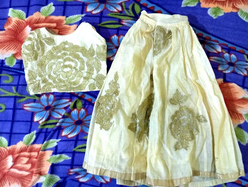 Beautiful Ethnic Lehenga Choli Set
