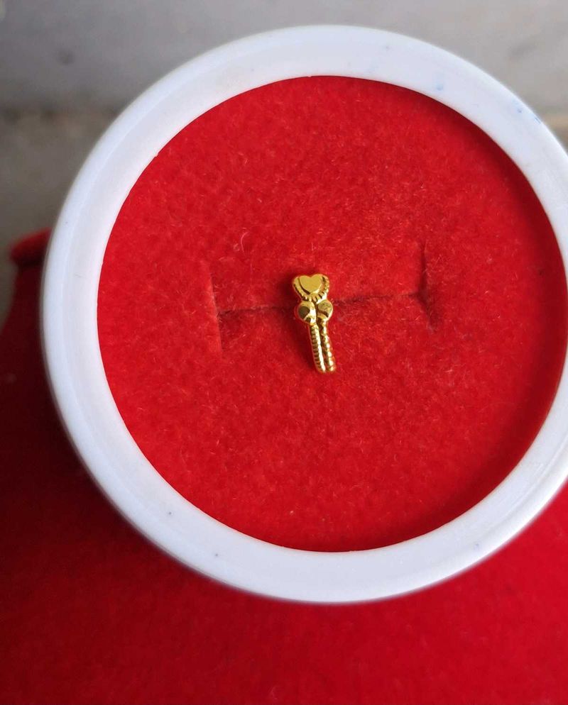 Gold Nose Pin