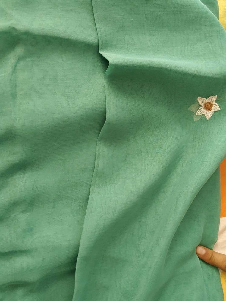 Elegant Green Chiffon material