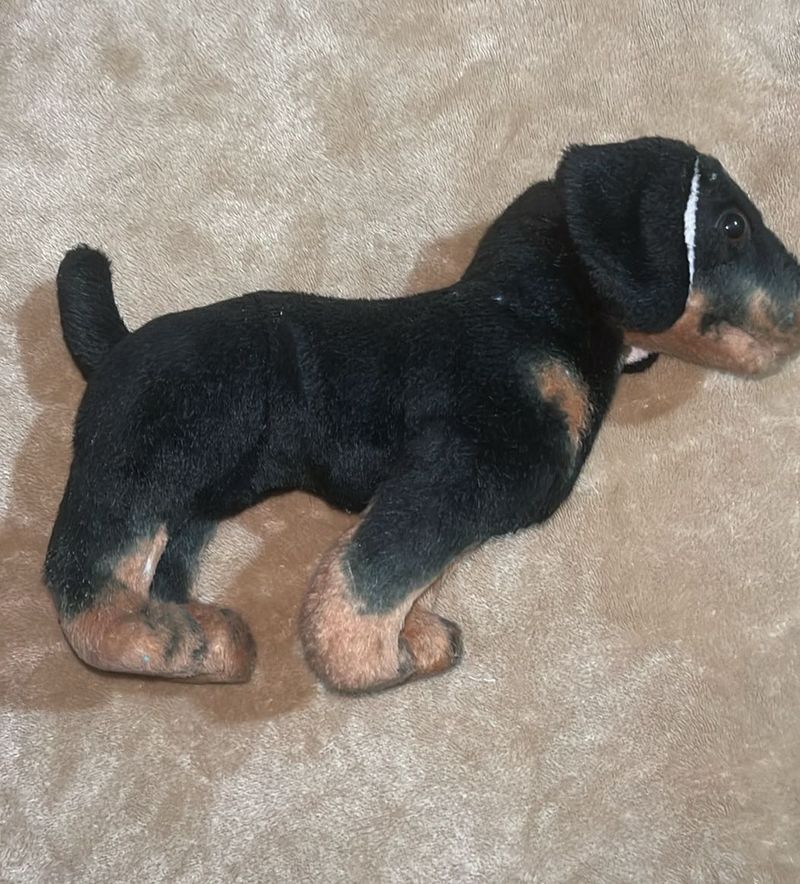 Toy