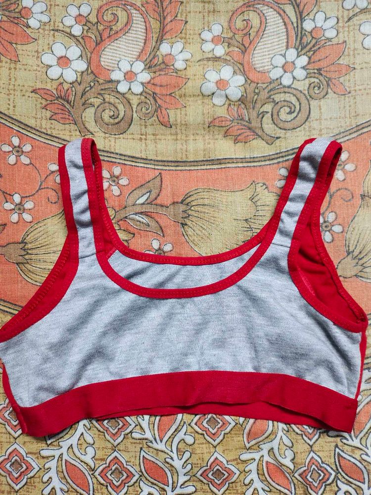 Grey &amp; Red Sports Bra