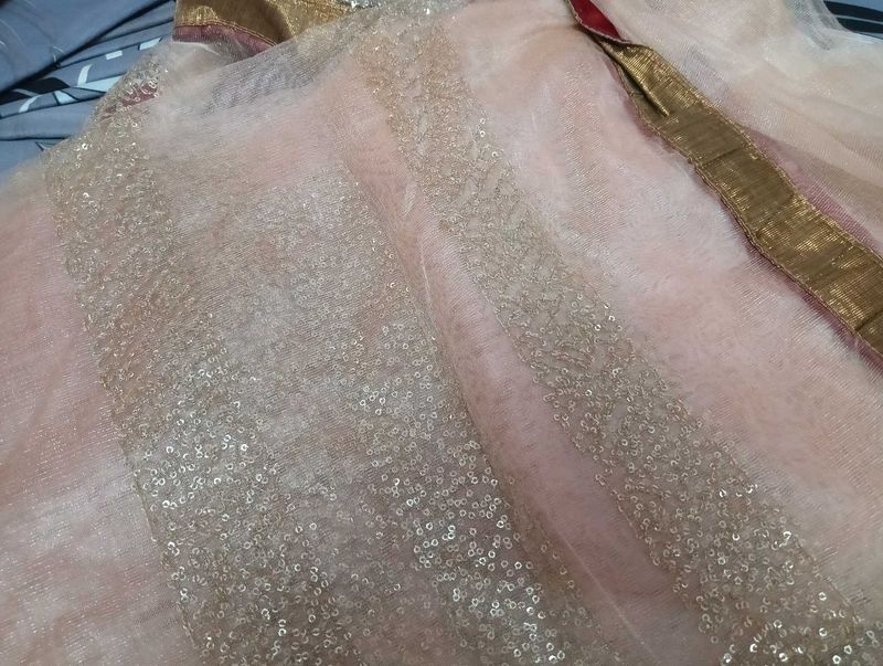Elegant Sequined Saree
