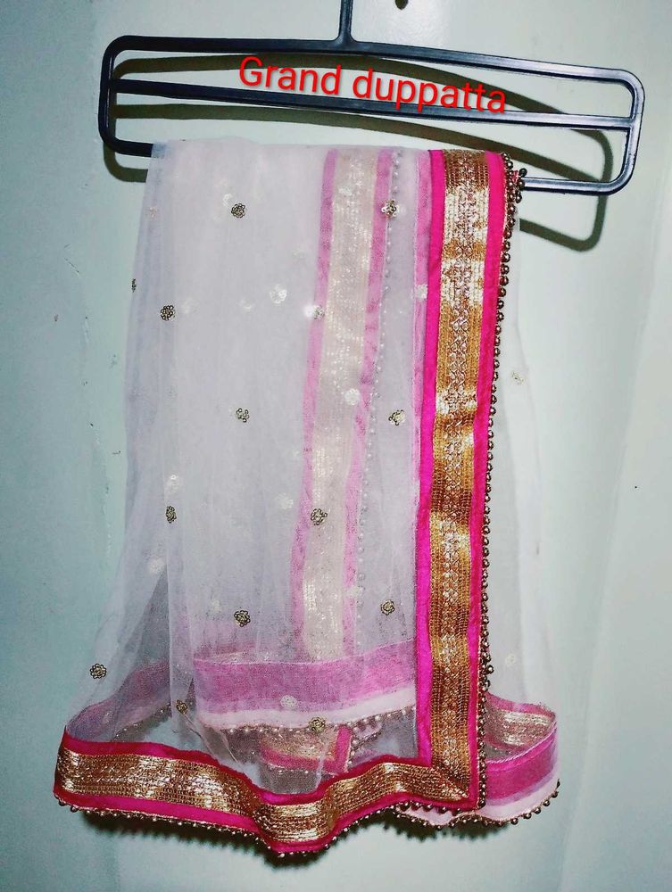 Stunning Lehenga Choli Set🤍🩷
