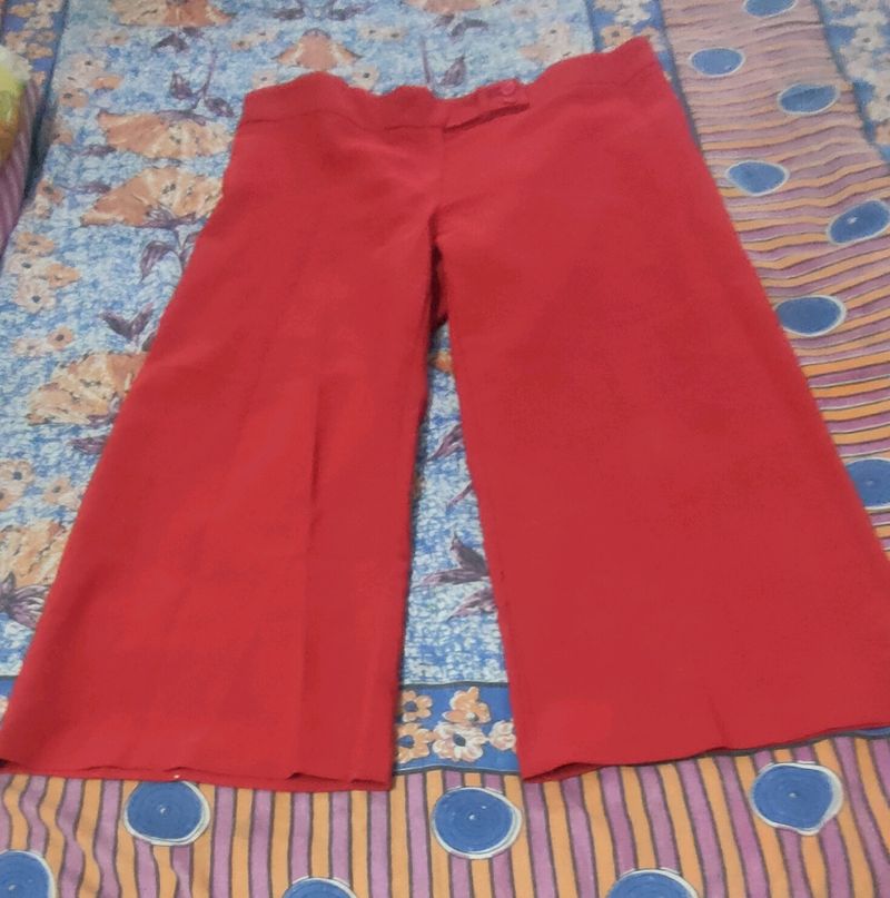 Short pant for women