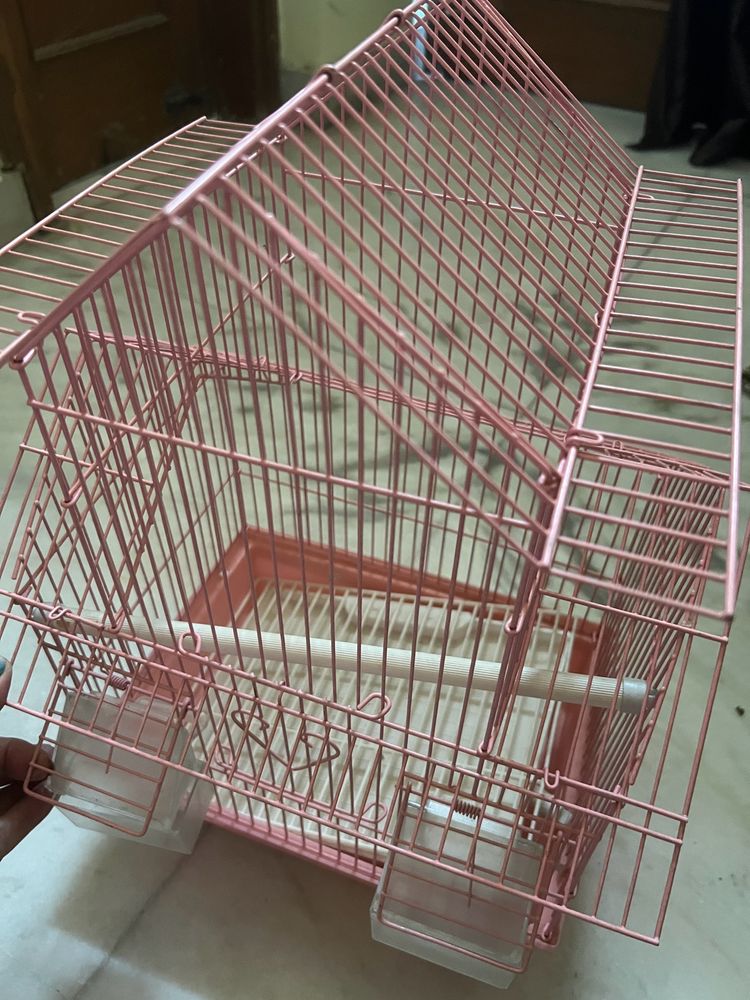 Bird Cage