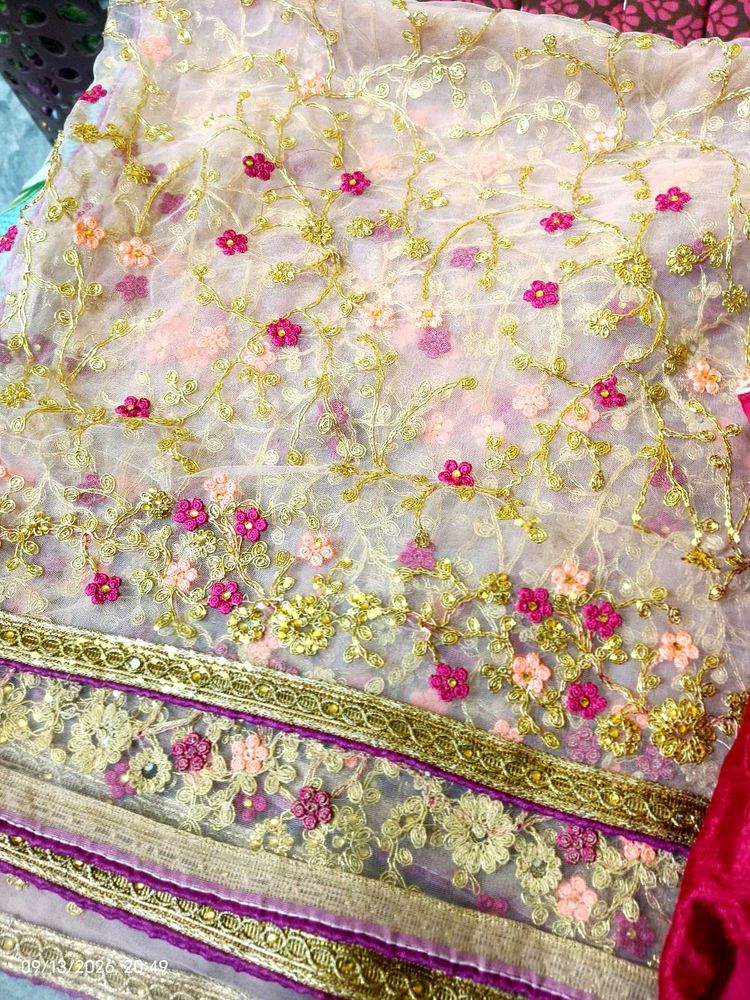 Embroidered Net saree