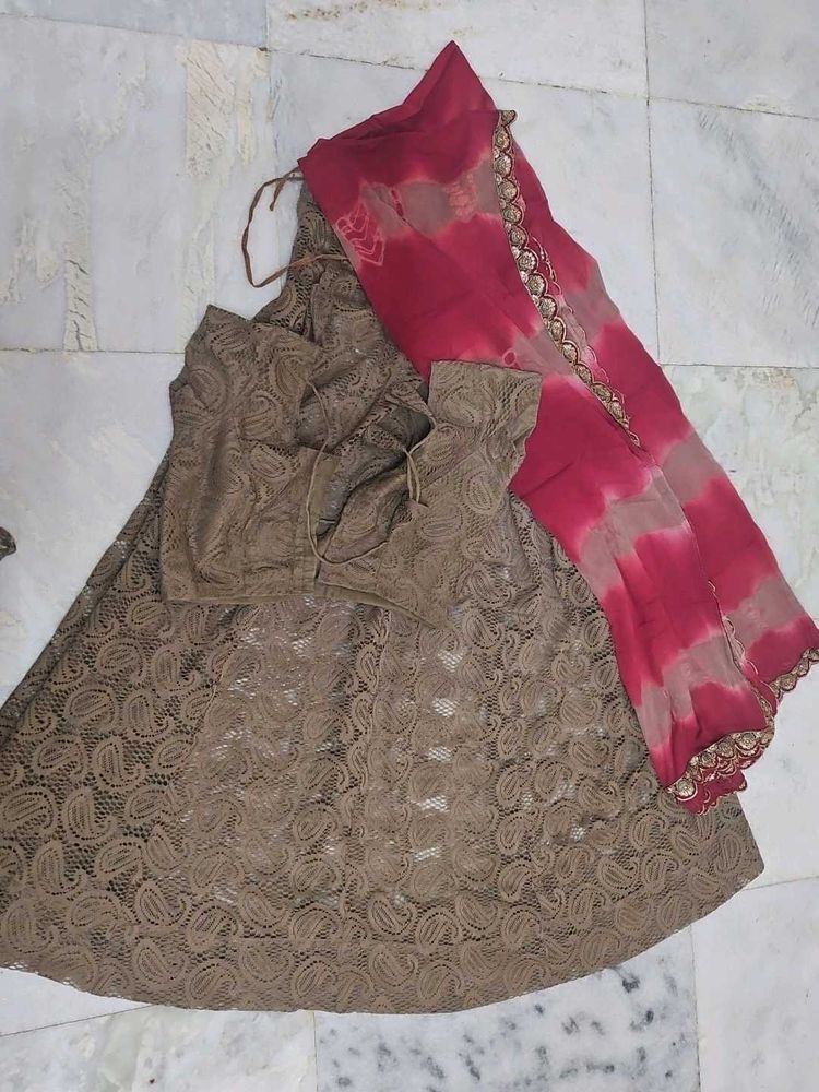 Brown Lehenga Choli with Dupatta