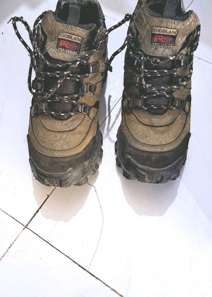 Orignal Woodland Shoe For Man.