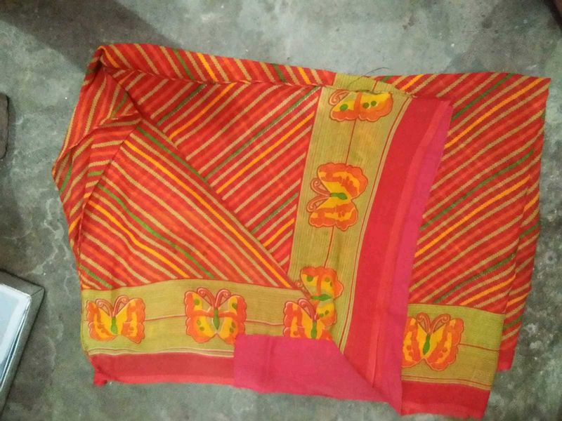 Vibrant Striped Saree with Butterfly Border