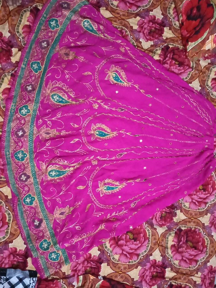 Vibrant Pink Embroidered Ethnic Skirt
