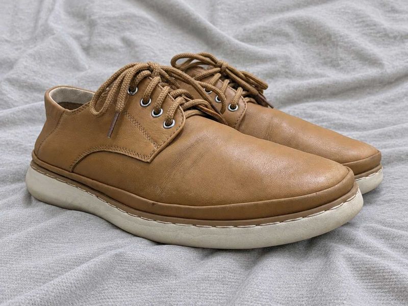 Original Goldlion Genuine Leather Shoes
