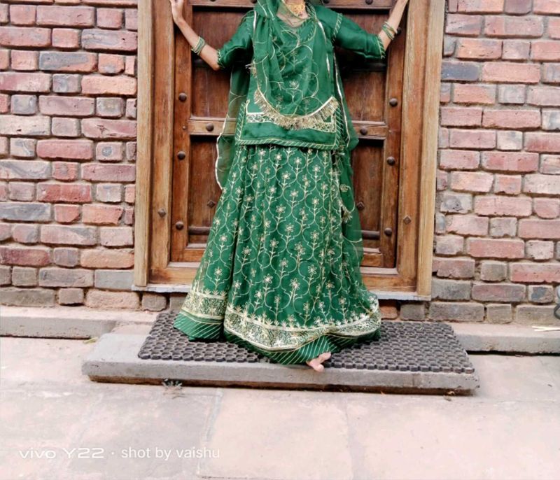 Green Floral Embroidered Lehenga Choli Set