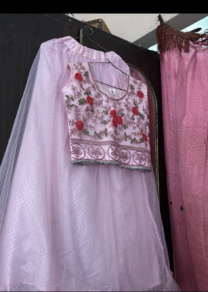 Beautiful Pink Embroidered Lehenga Choli