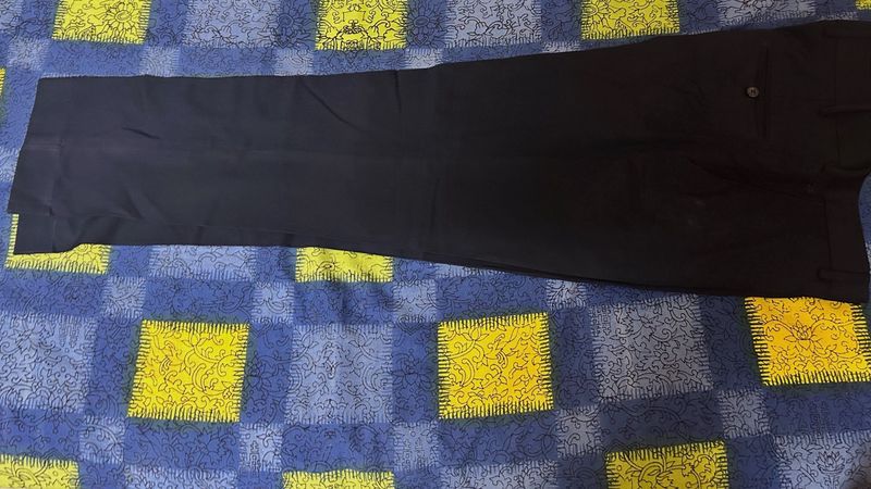 Men Peter England Trouser