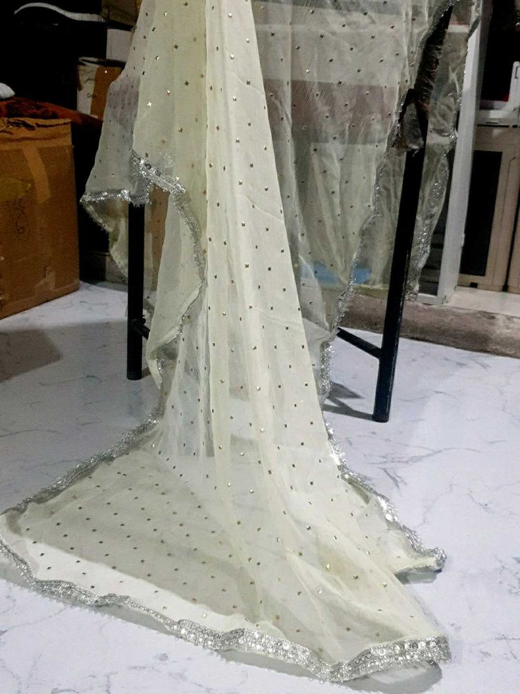 Embellished Net Dupatta